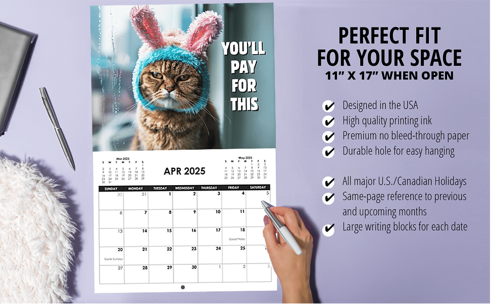 😾2025 Peed-Off Cats Calendar - Funny Cat Themed Gifts For Cat Lovers