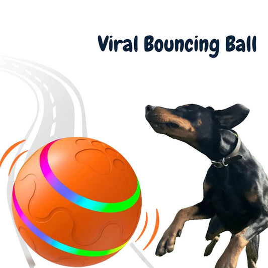 🐾Pet Virus Bouncing Ball