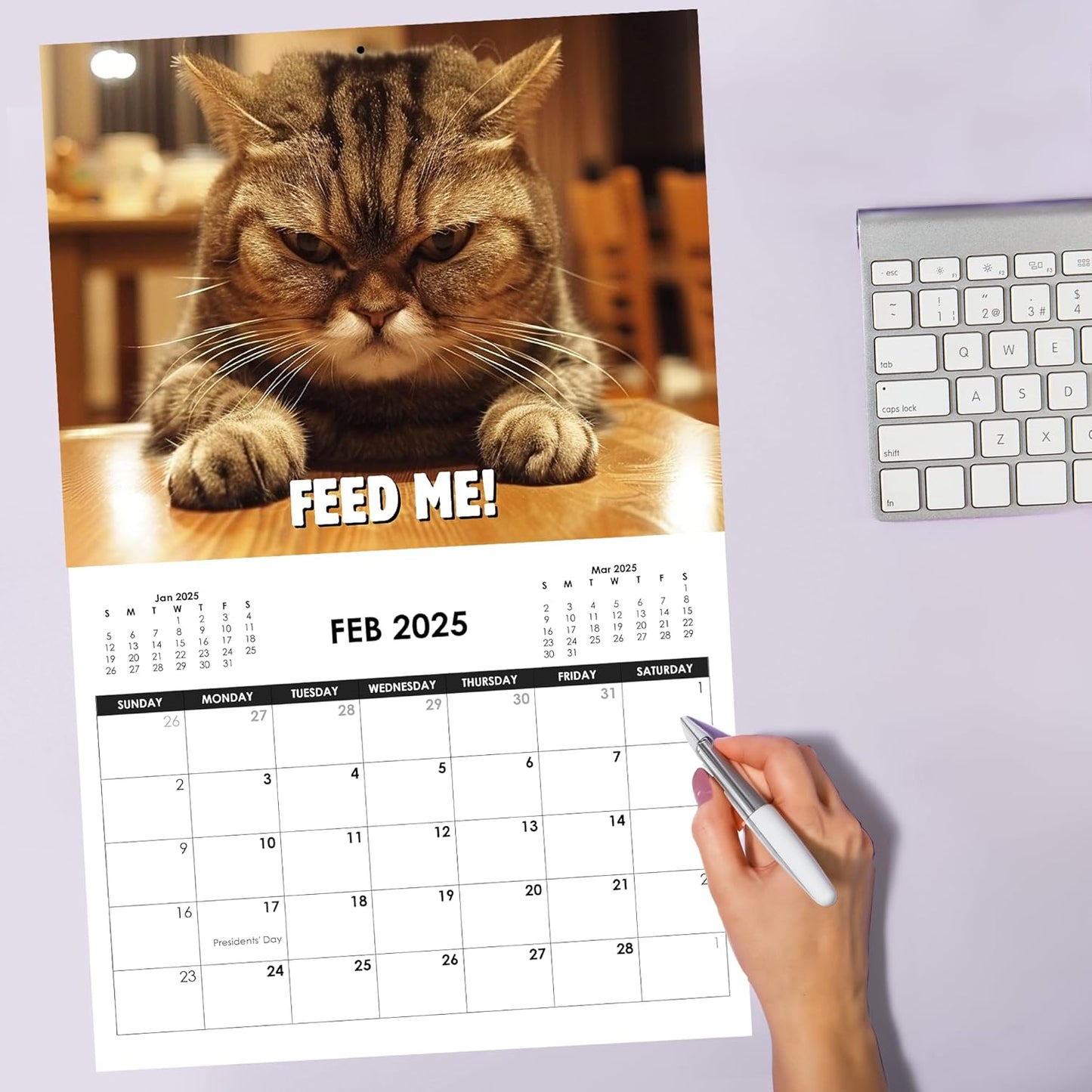 😾2025 Peed-Off Cats Calendar - Funny Cat Themed Gifts For Cat Lovers