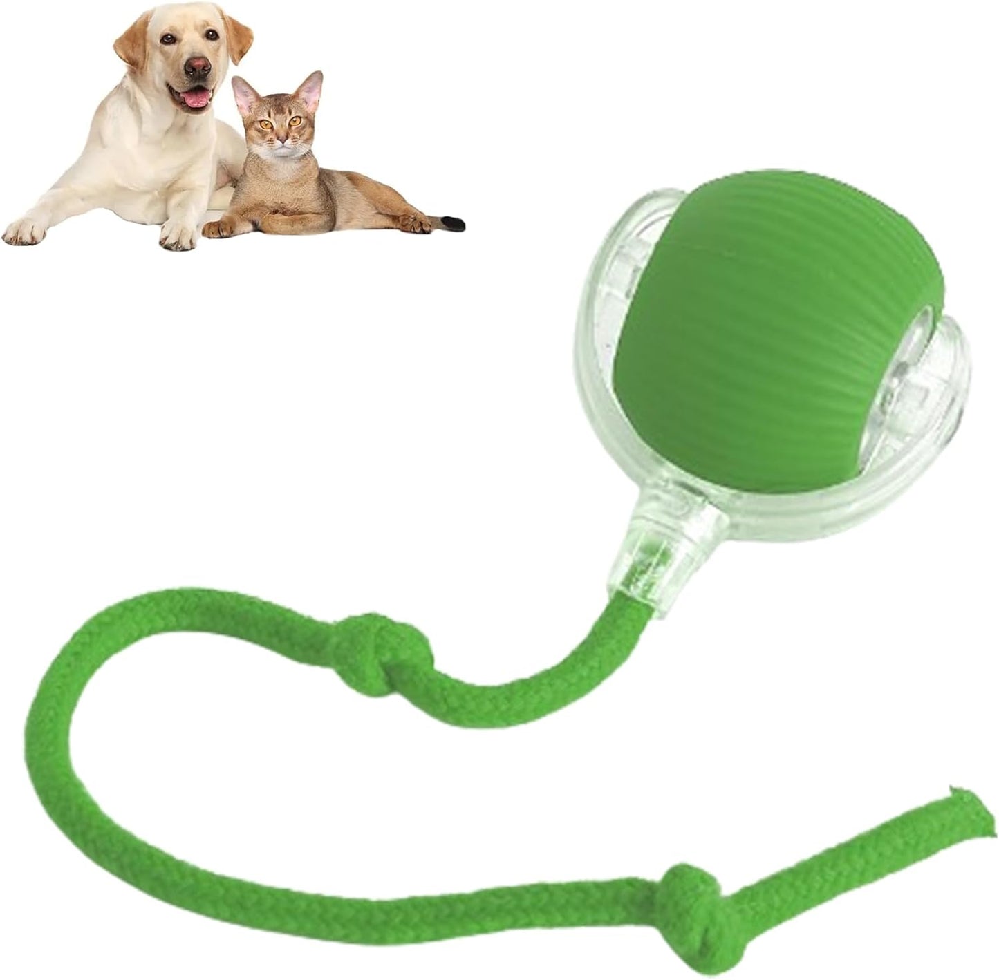 😻💧Smart Chasing Pet Toy Ball🐶✨