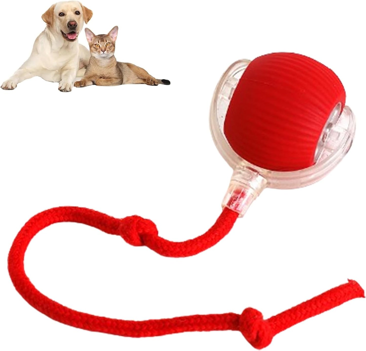 😻💧Smart Chasing Pet Toy Ball🐶✨