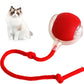 😻💧Smart Chasing Pet Toy Ball🐶✨