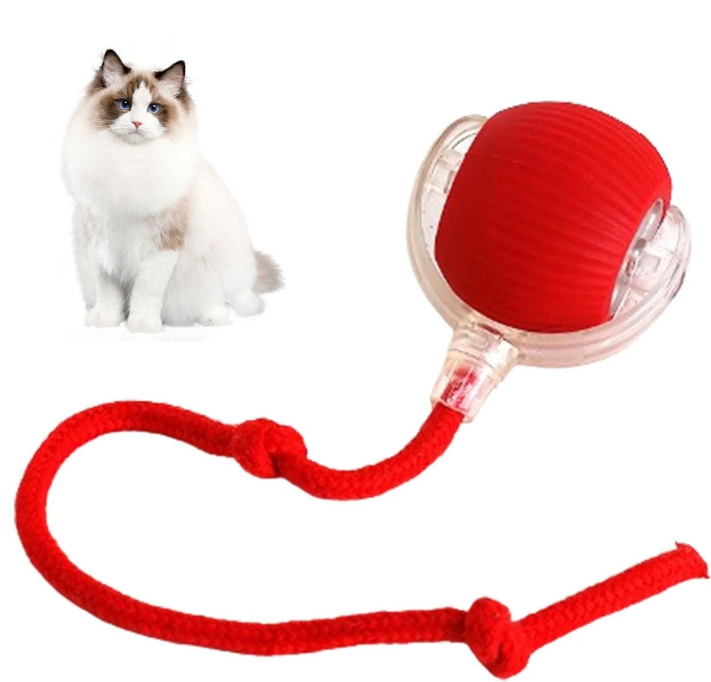 😻💧Smart Chasing Pet Toy Ball🐶✨