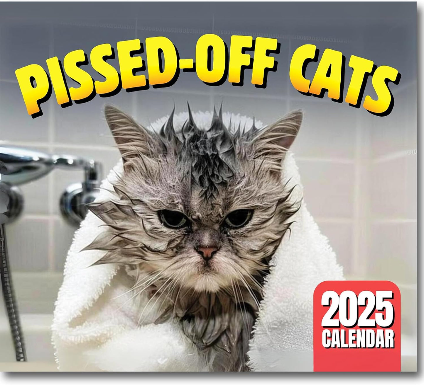 😾2025 Peed-Off Cats Calendar - Funny Cat Themed Gifts For Cat Lovers