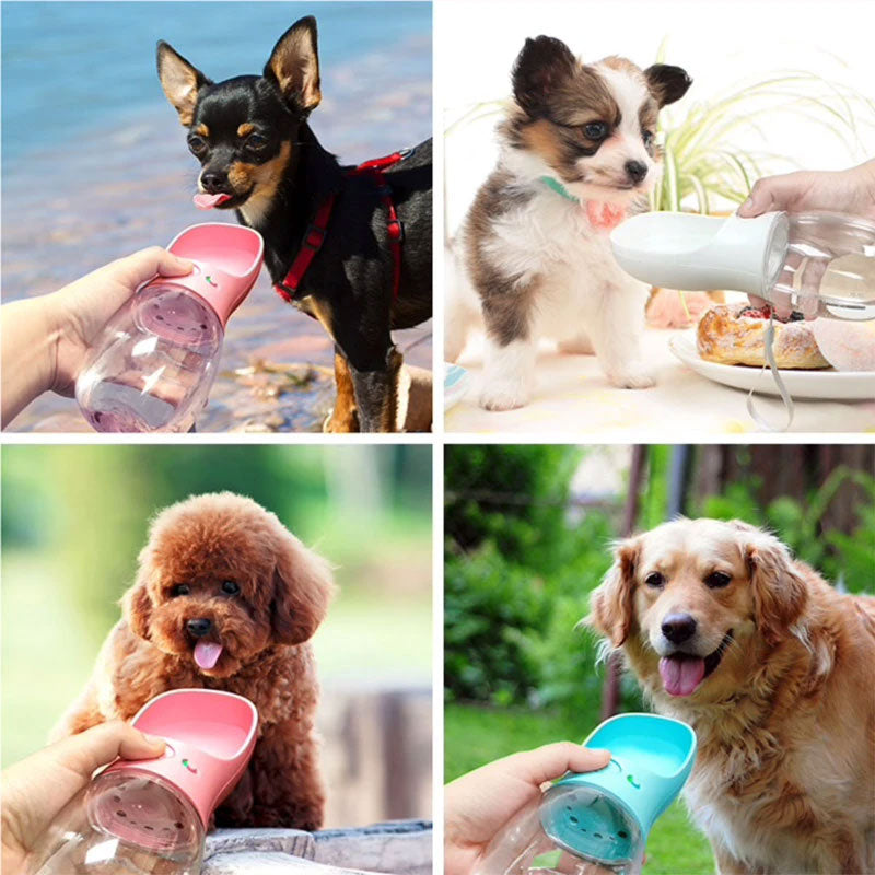 🐾DoggyCup - Perfect for hot summer days