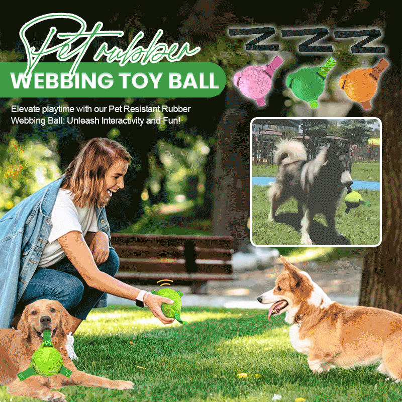 🐾Pet Rubber Webbing Toy Ball