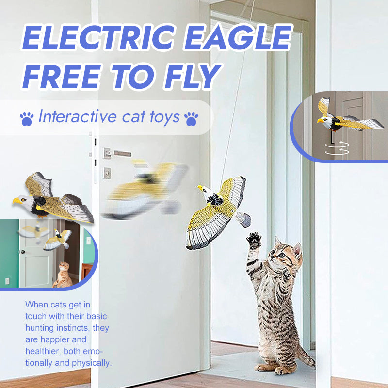 Flying best sale cat toys