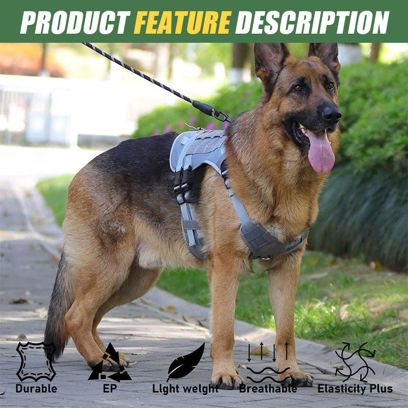 Large dog 2024 body harness