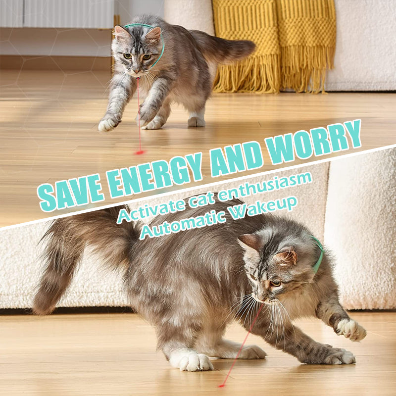 Leap activated 2025 cat collar