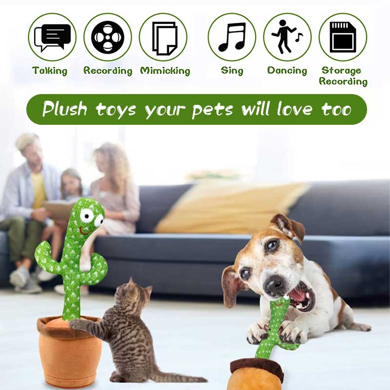 Talking Cactus Pet Toy OWOWPet