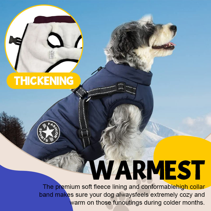 Warmest 2024 dog jacket