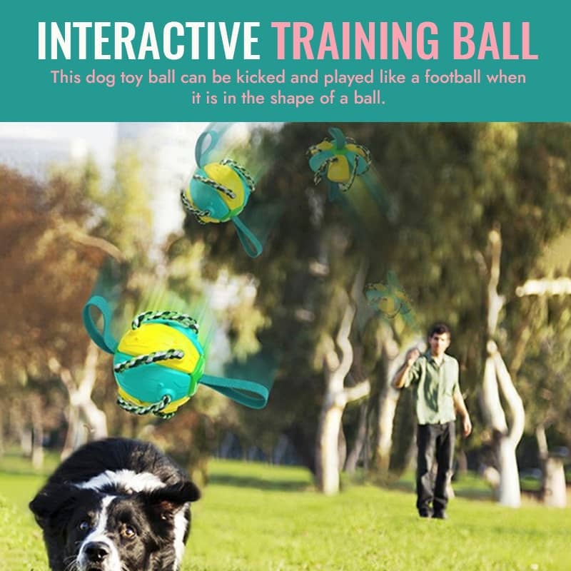 Pride month special rainbow ball dog interactive toy is